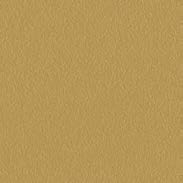 premium-matte-e0-golden-yellow.jpg